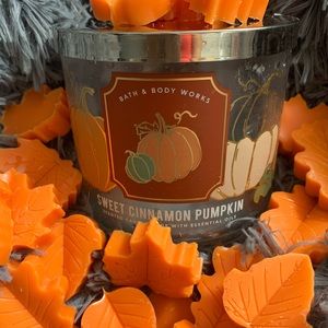 Bath and Body Works Wax Melts